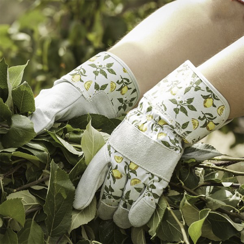 Briers Lemon Thorn Proof Ladies Gloves GardeningGloves.co.uk